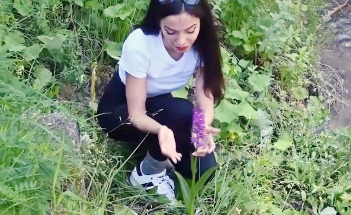 İç Anadolu bölgesinin en büyük ormanlarına sahip olan Akdağmadeni ormanlarında