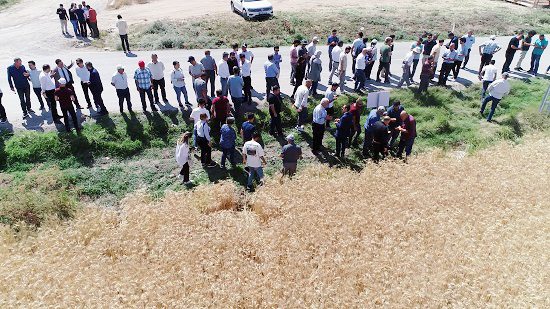 Yozgat Tarım ve Orman Müdürlüğü ile Bahri Dağdaş Tarımsal Araştırma