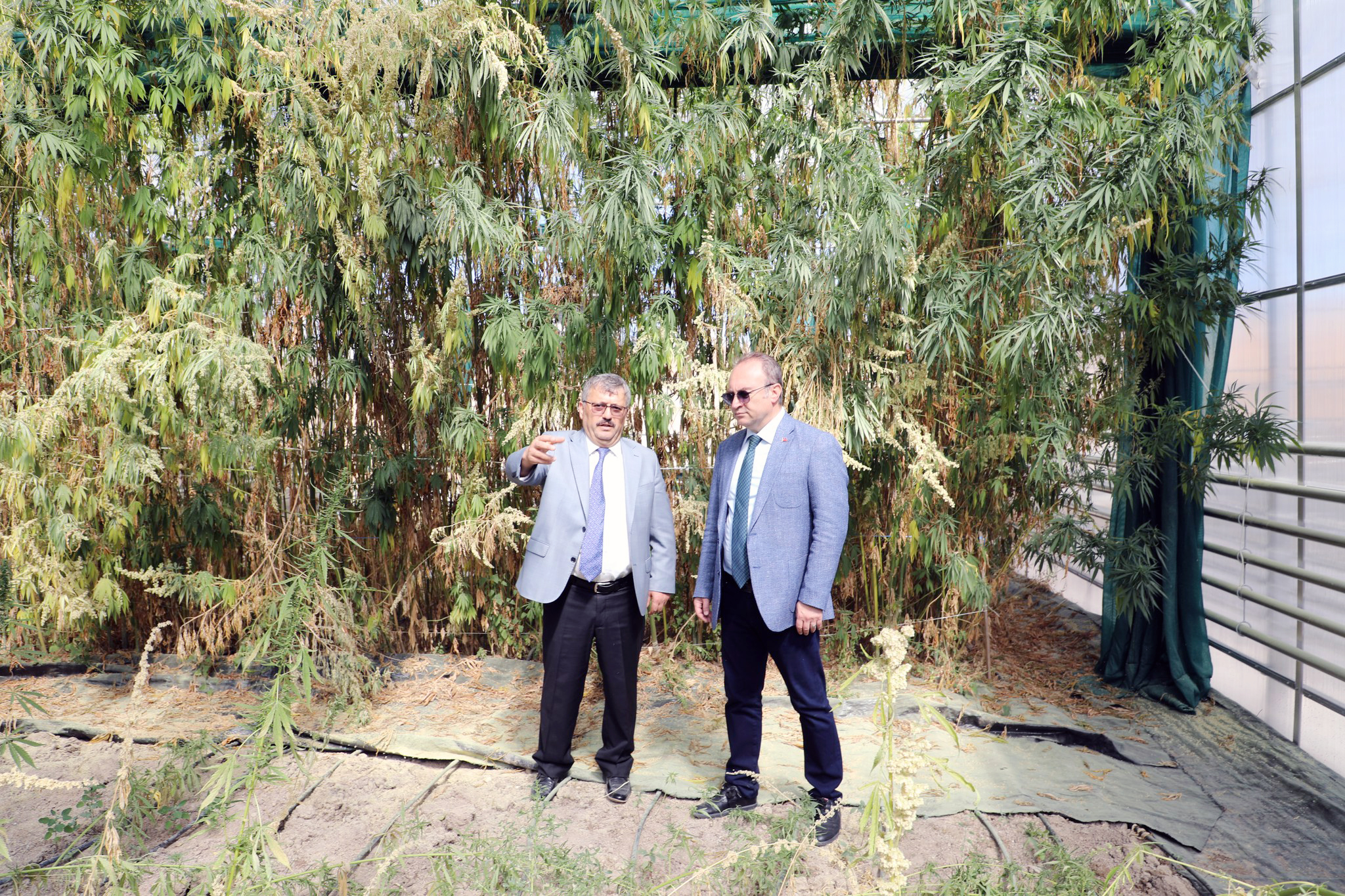 Yozgat Bozok Üniversitesi Rektörü Prof. Dr. Evren Yaşar, kenevirin ekonomiye