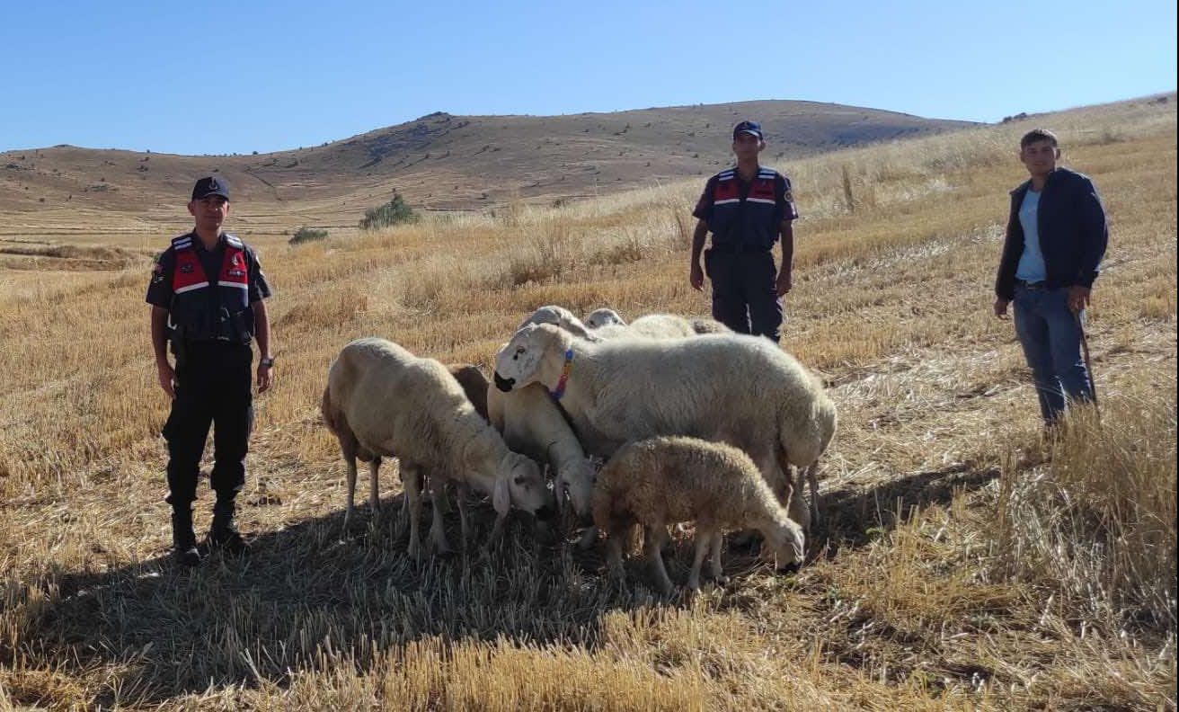 Yozgat İl Jandarma Komutanlığı ekipleri, Yerköy İlçesine bağlı Susuz Köyü