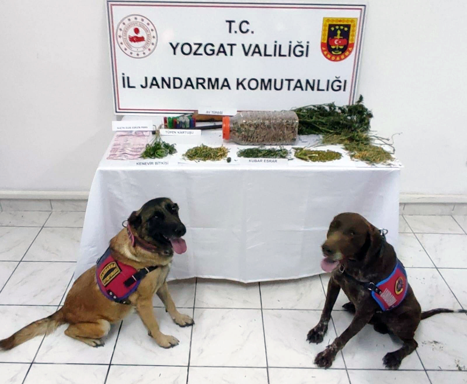 Yozgat Şefaatli ilçesinde yapılan operasyonda, (T.E.) isimli şüpheli şahsın evinde