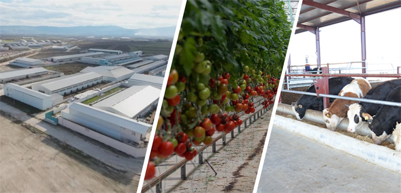 Tarım ve Orman Bakanlığı tarafından Jeotermal kaynakları ile ön plana