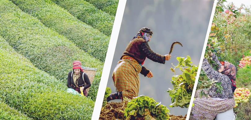 Tarım ve Orman Bakanı İbrahim Yumaklı, tarımsal üretimin sigortası olarak