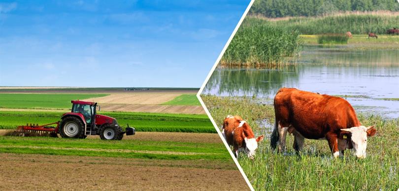 Tarım ve Orman Bakanlığı tarafından sağlanan tarımsal destek ödemeleri kapsamında