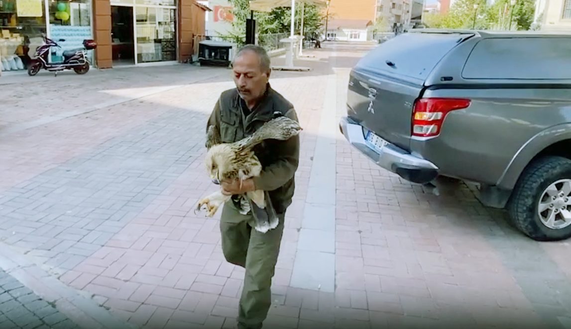 Sorgun ilçesine bağlı Taşpınar köyünde göç sırasında yorgun düşen ve