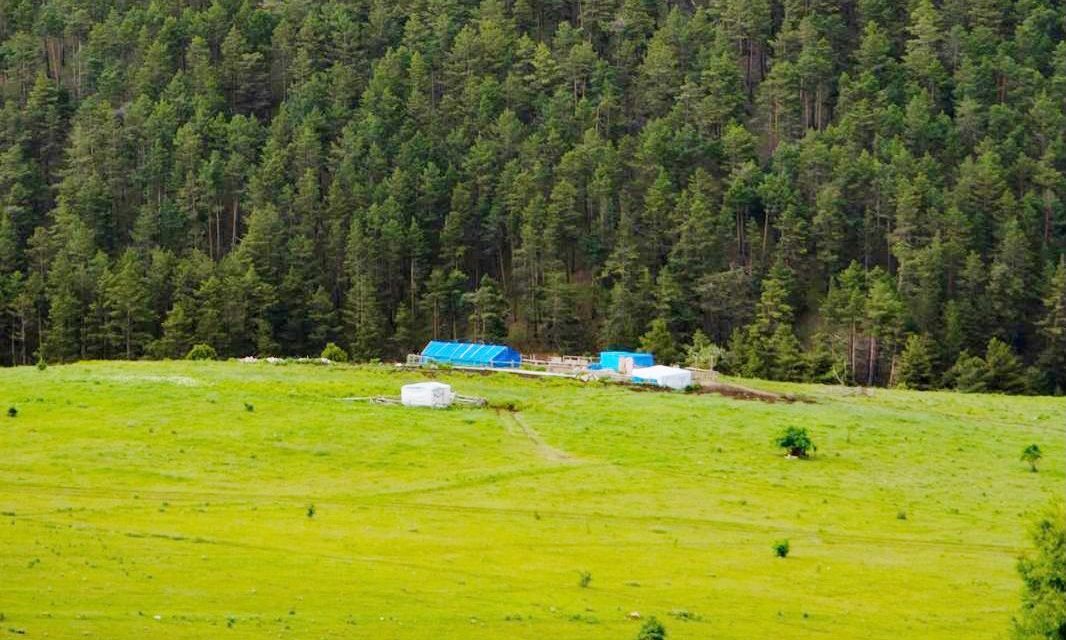 TEMA Vakfı Yozgat İl Temsilciliği tarafından "Planın Parçası Olun" ve