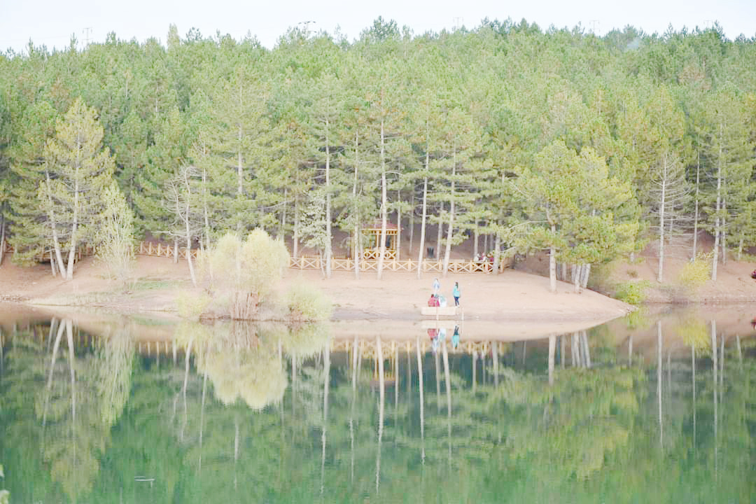 Türkiye’nin ilk milli parkı olan Yozgat Çamlık Milli Parkı, 9