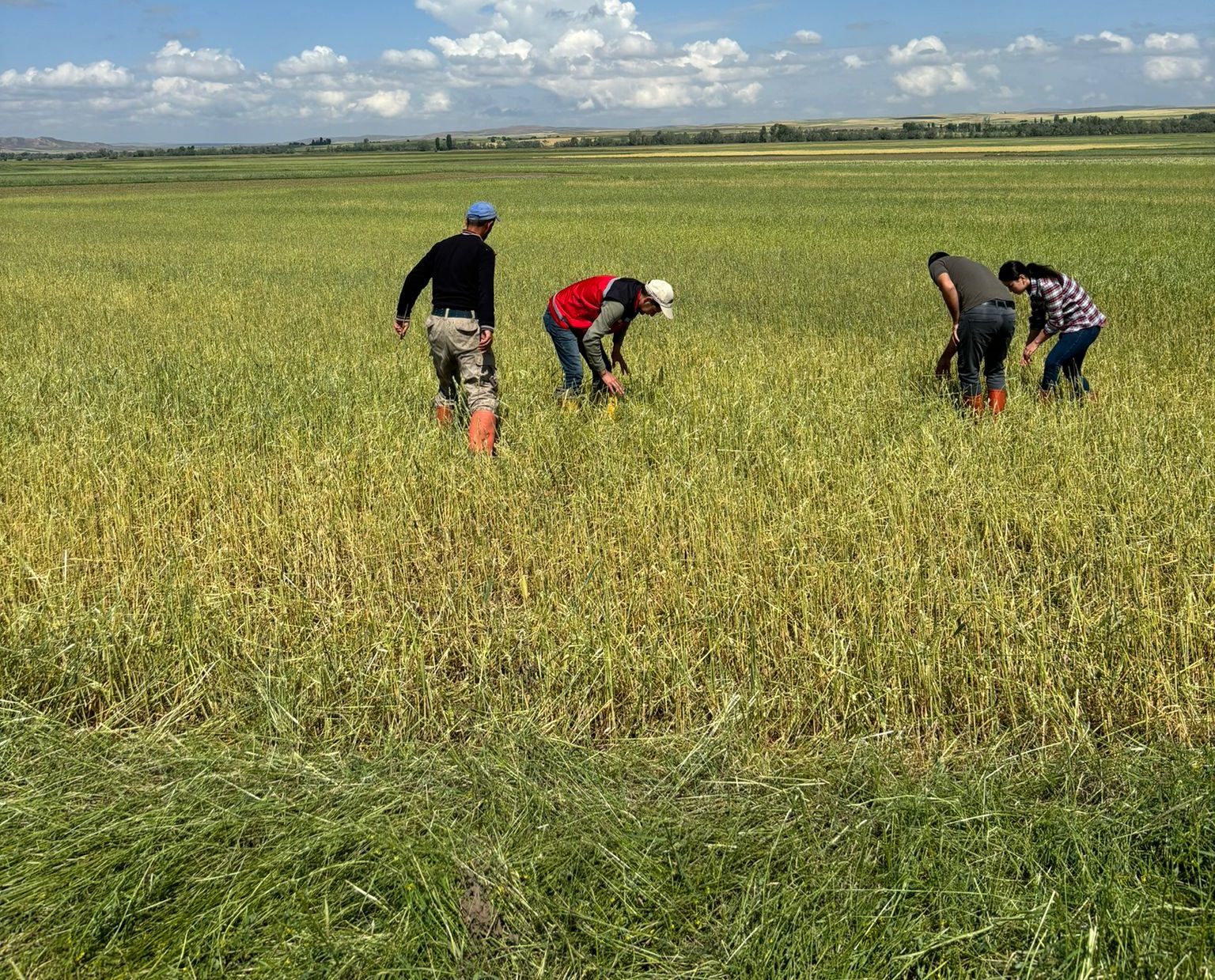 Yozgat'ın köylerinde etkili olan dolu yağışı, ekili alanlarda büyük hasara