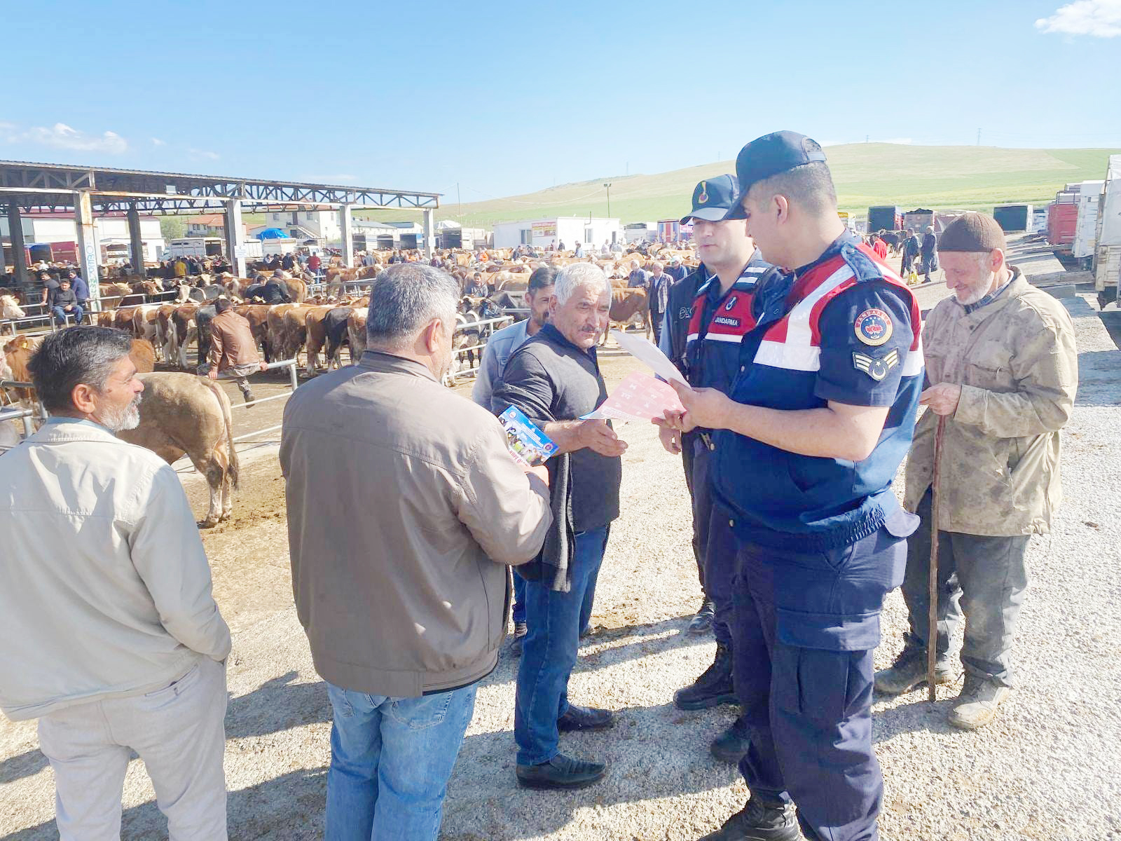 Jandarma ekipleri Kurban Bayramı öncesinde hayvancılıkla uğraşan vatandaşları hayvan hırsızlığı