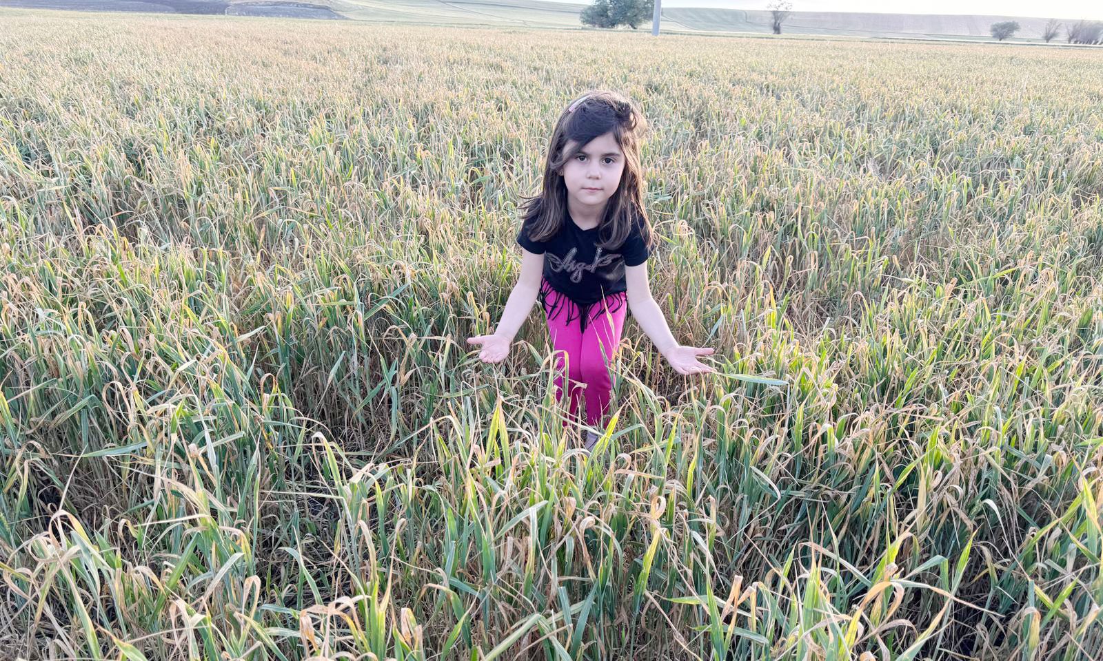 Türkiye’nin önemli tarım bölgelerinden biri olan Yozgat’ın Yerköy İlçesinde uzun