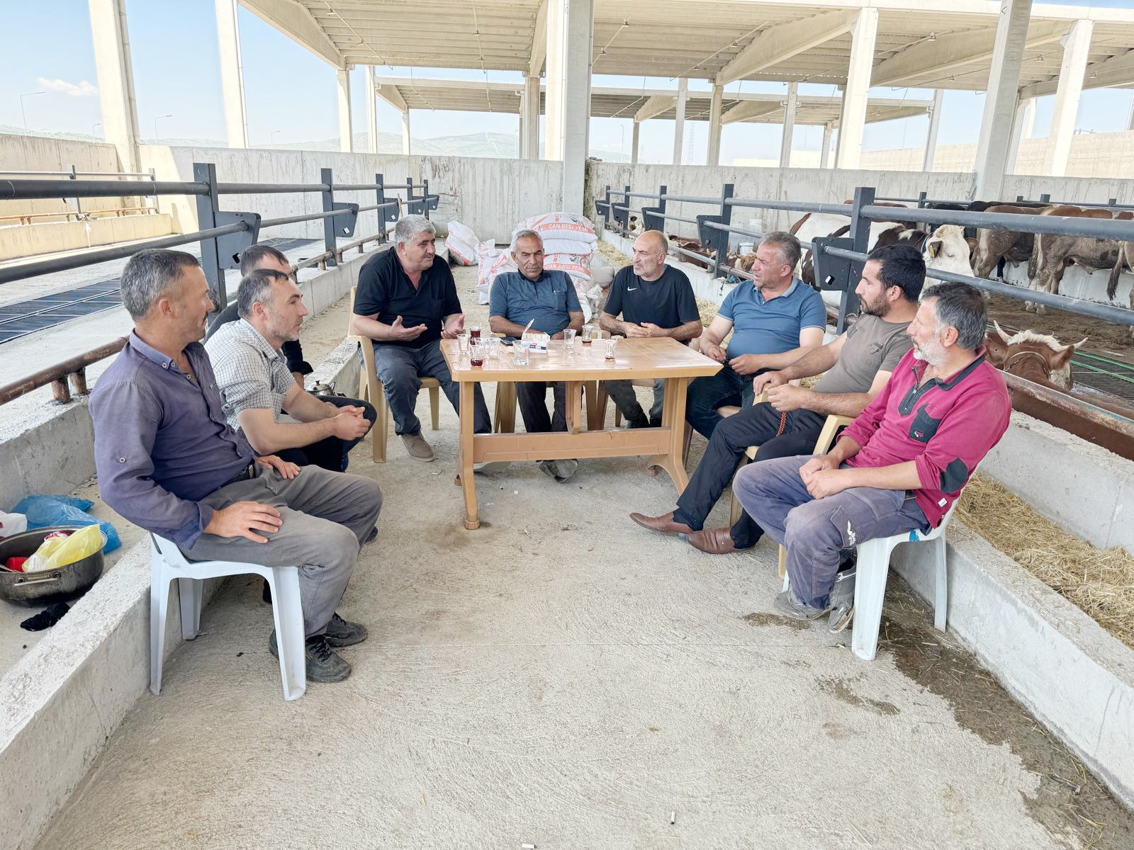 Yaklaşan Kurban Bayramı öncesinde Yozgat’ta kurbanlık hayvan satışı için açılan