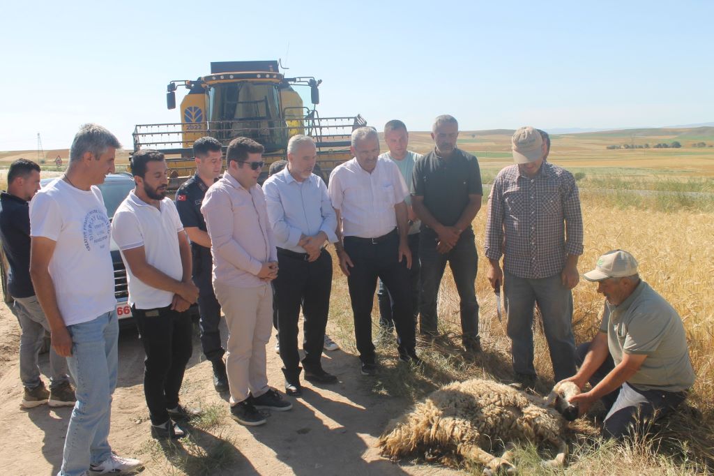 Sarıkaya’nın Burunkışla köyünde sezonun ilk arpa hasadı kesilen kurbanın ardından