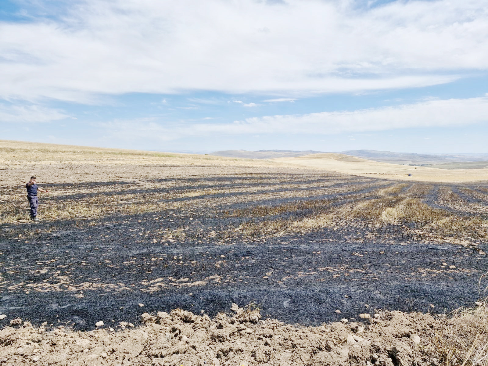 Yozgat’ın Yerköy İlçesine Bağlı Susuz köyünde arazide çıkan yangında 50