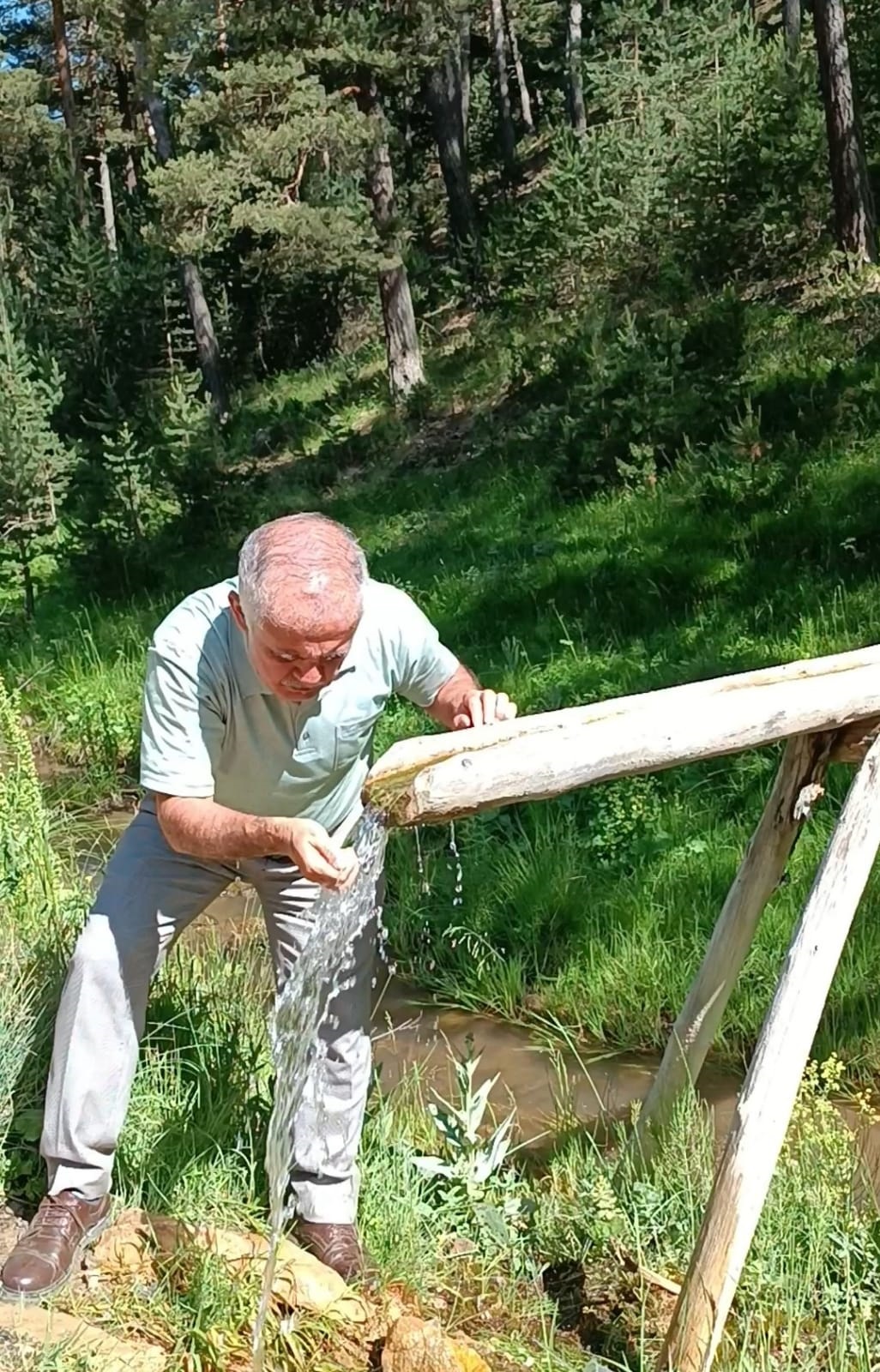 Yozgat’ın Akdağmadeni ilçesi Başçatak Köyü çamlık alanındaki yüksek kayalıklardan süzülerek,