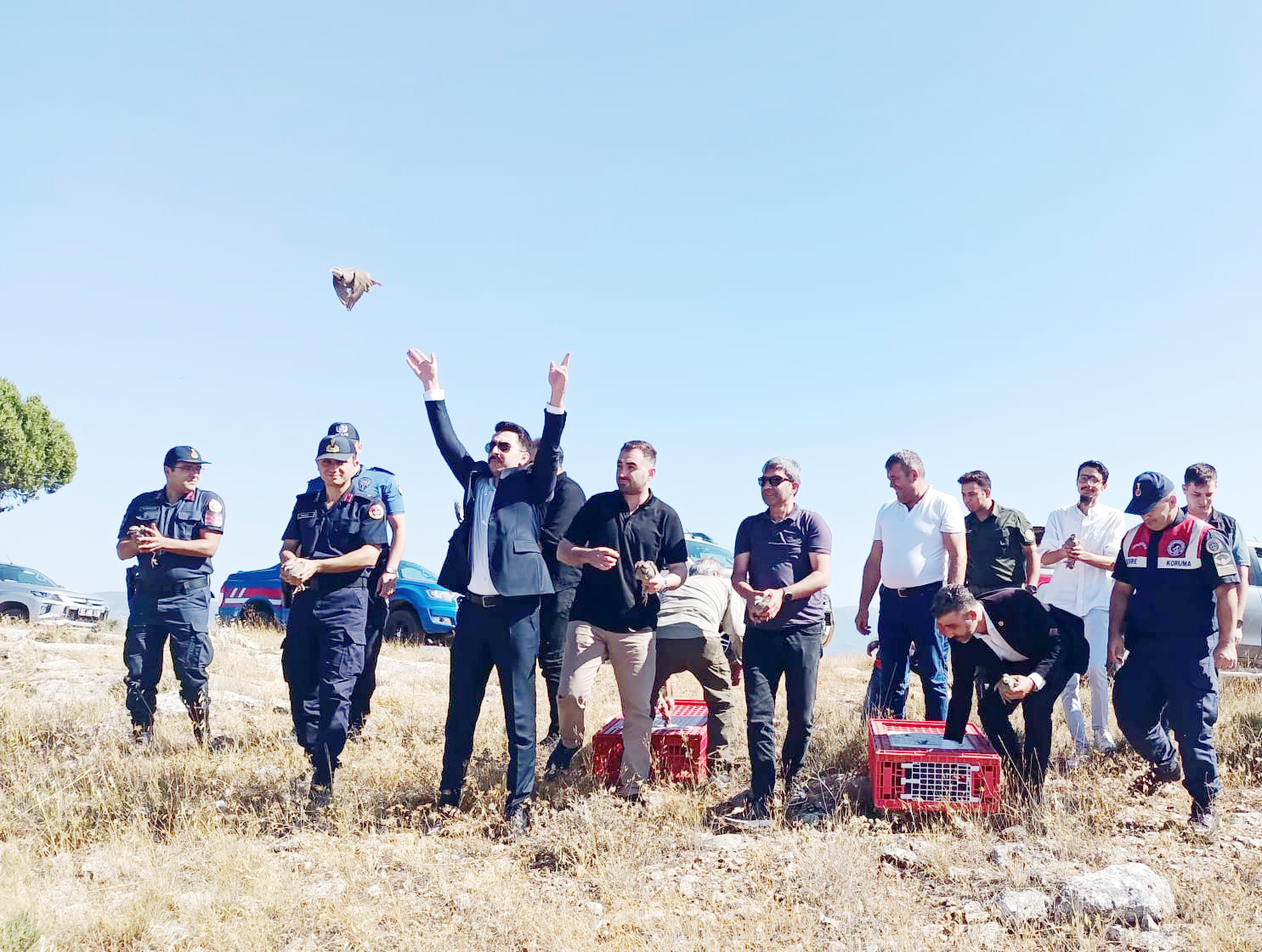 Aydıncıkta doğa koruma faaliyetleri kapsamında Doğa Koruma ve Milli Parklar