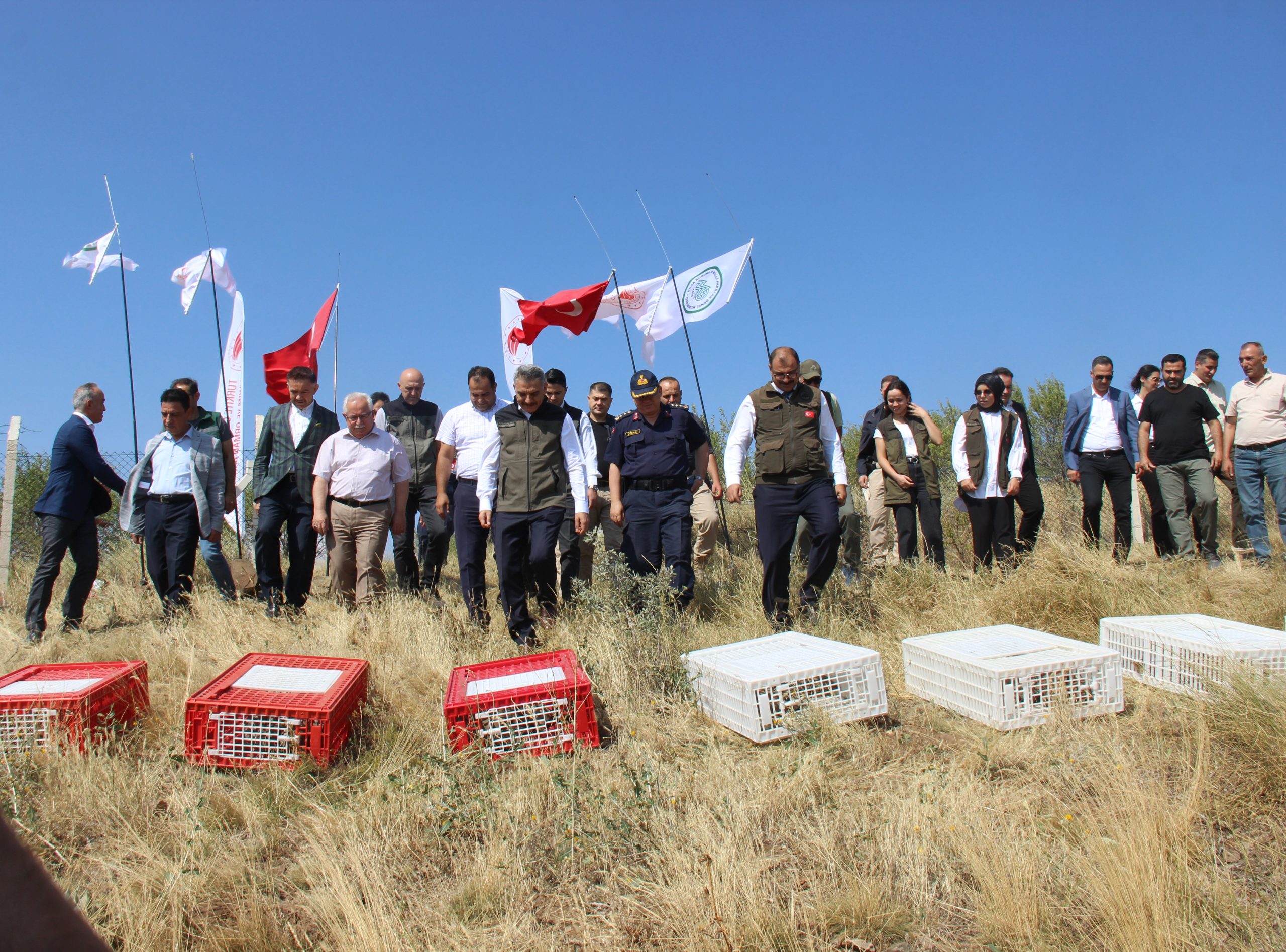 Yozgat'ta bulunan Keklik Üretim İstasyonu'nda bu yıl üretilen 800 adet