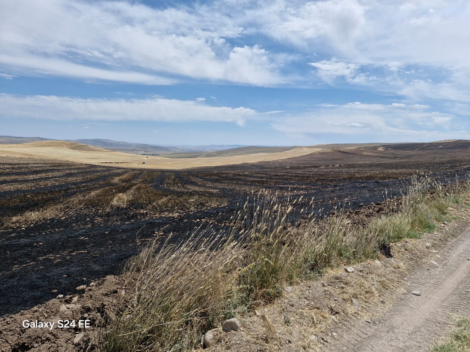 Sarıkaya ilçesi Karayakup Beldesi Terzili Mahallesi ile İnevi köyü arasında