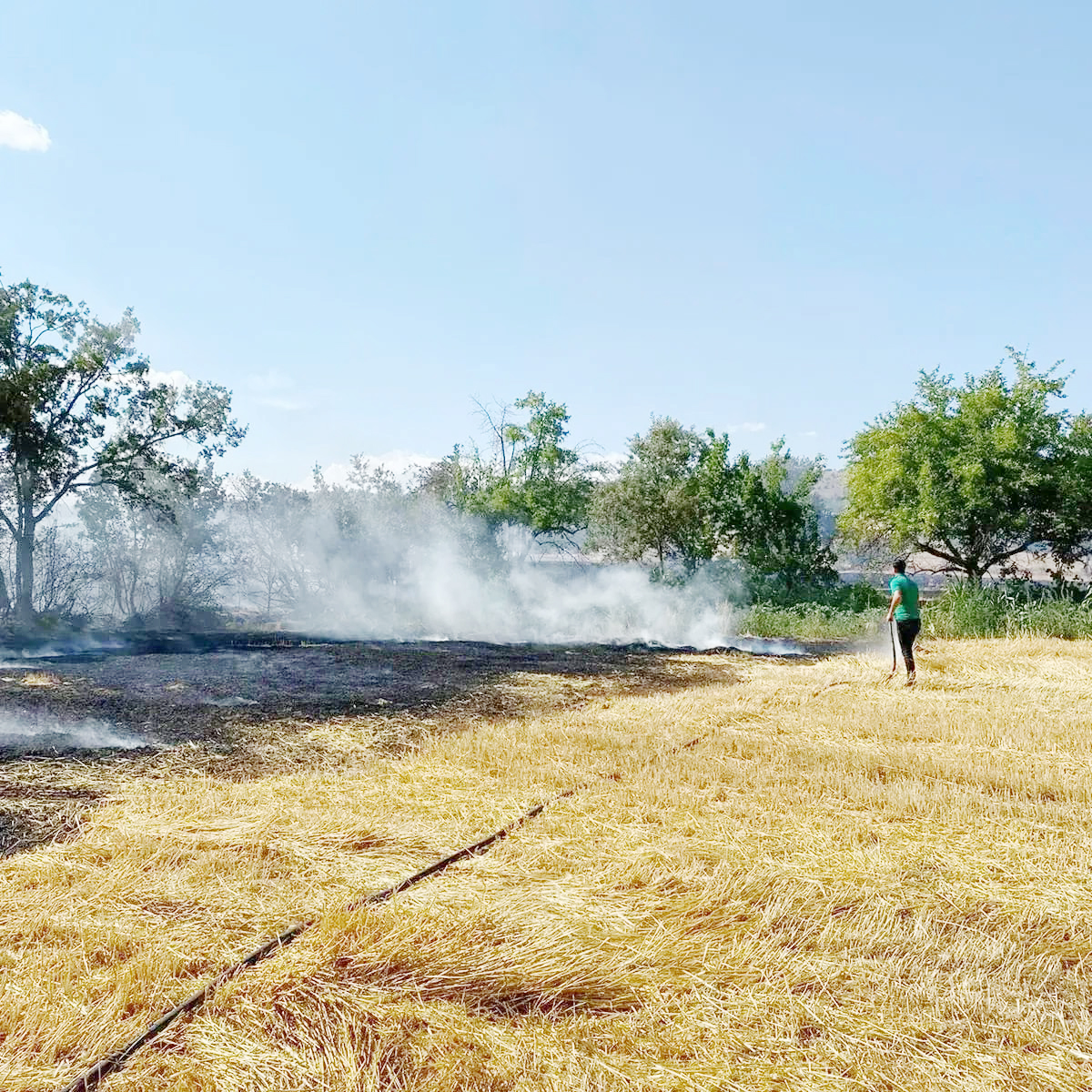 Aydıncık'ın Kösrelik köyünde meydana gelen yangın, hububat ekili alan ve