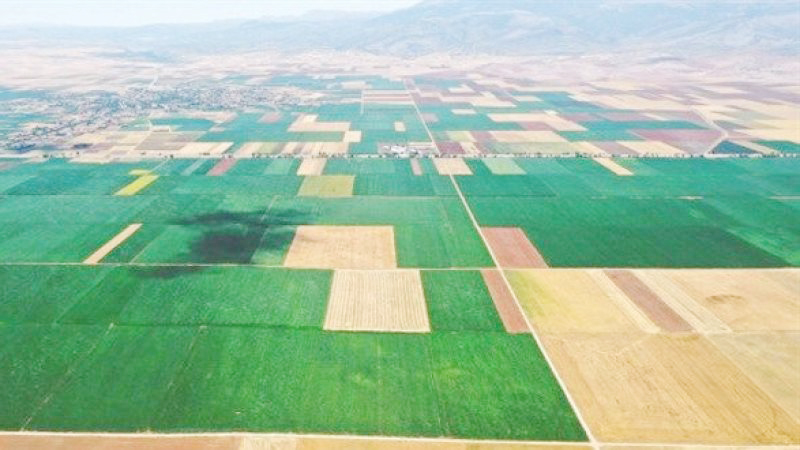 Miras Kalan ve 2 yıl  işlenmeyen arazi kiralanacak