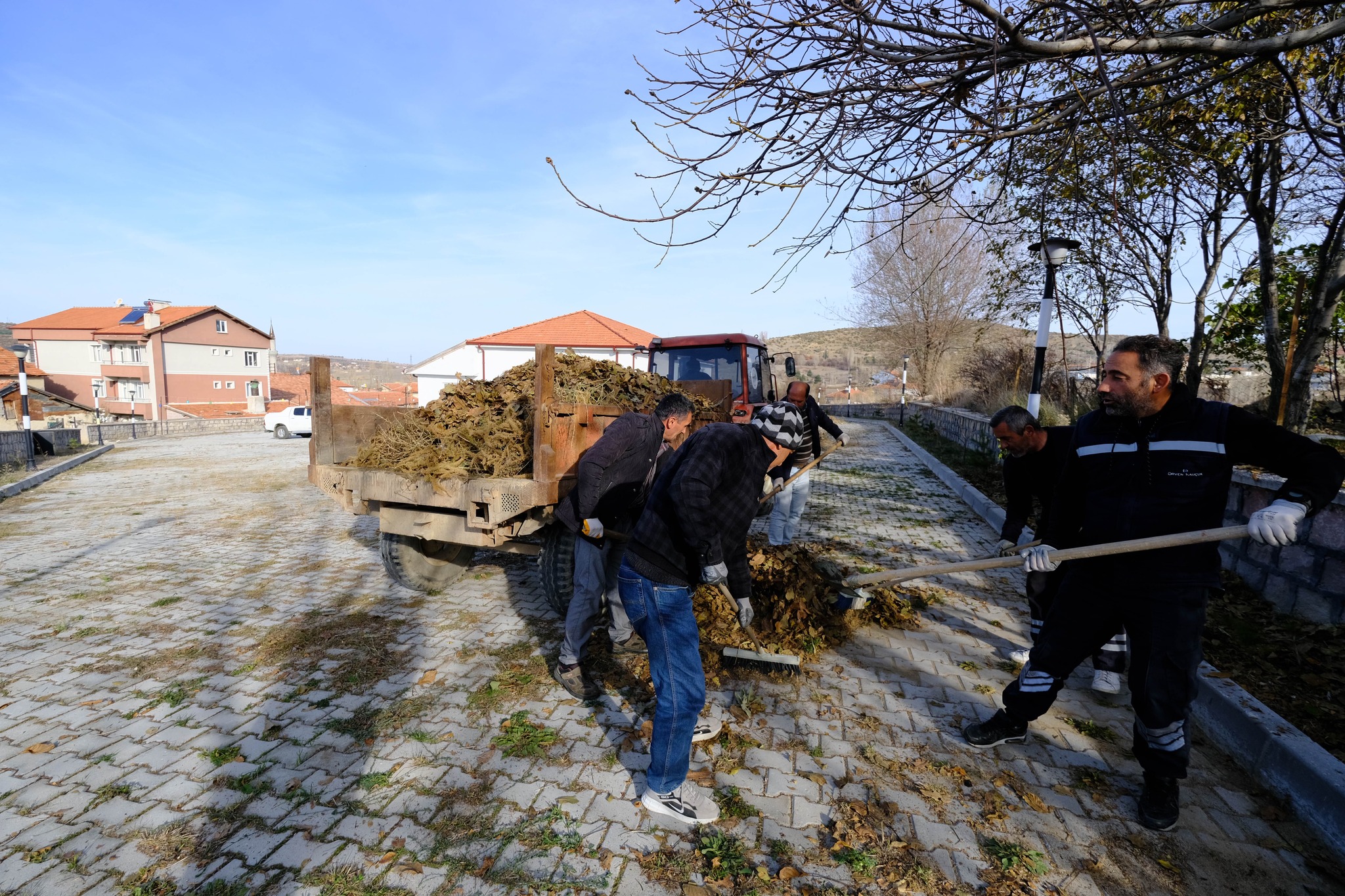 Yalçın: Park ve bahçelerde sonbahar bakımları devam ediyor