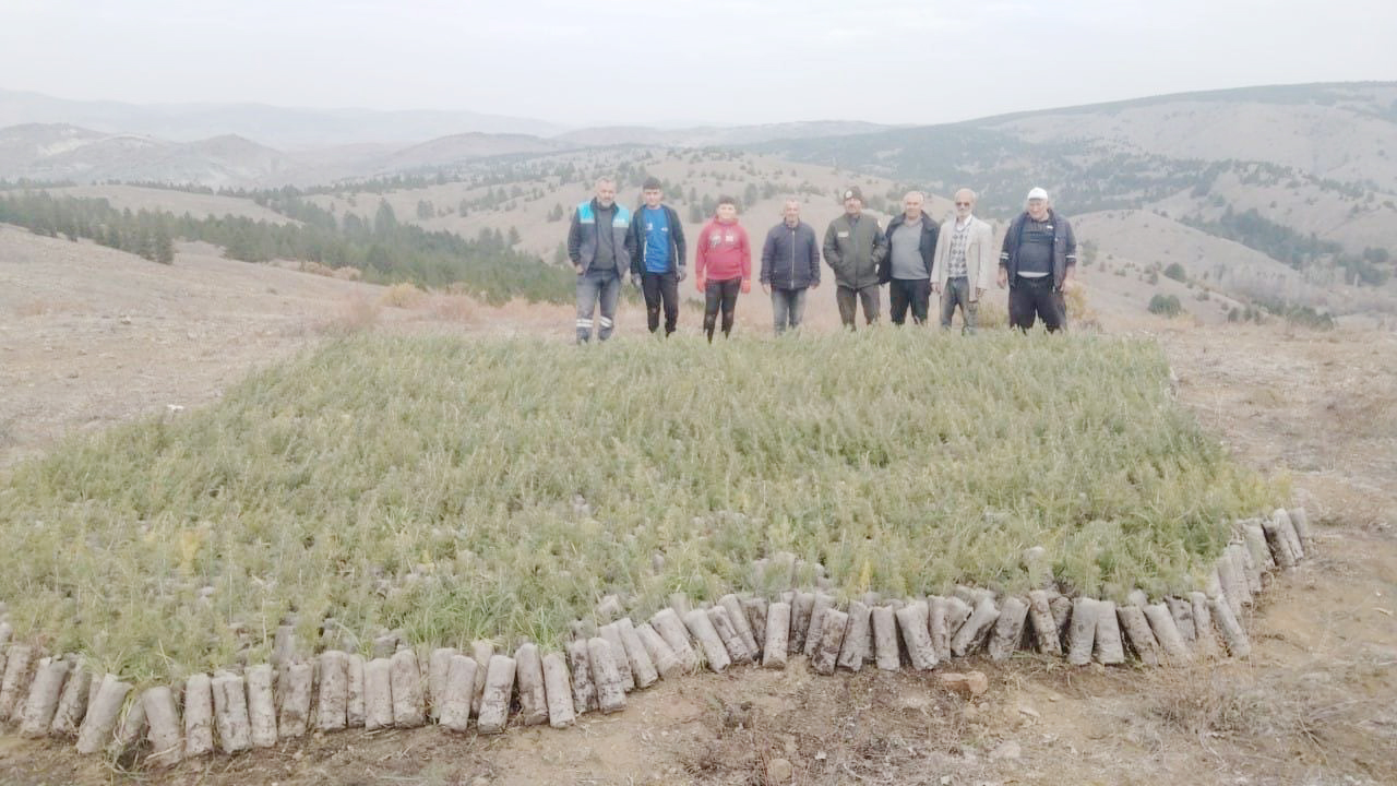 Yozgat’ta fidan ve tohum seferberliği devam ediyor