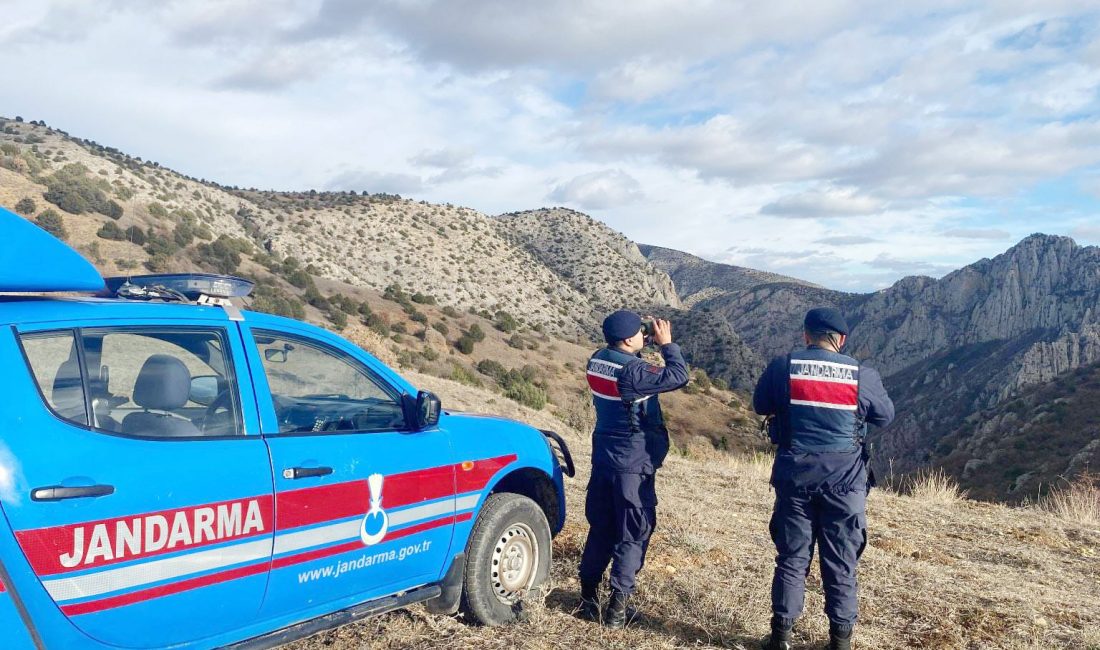 Aydıncık İlçe Jandarma Komutanlığı, ilçedeki Kazankaya Kanyonu'nda yaban keçileri ve
