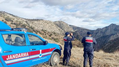 Aydıncık İlçe Jandarma Komutanlığı, ilçedeki Kazankaya Kanyonu'nda yaban keçileri ve