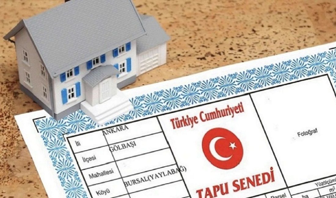 Tarım ve Orman Bakanlığı, tapu sahiplerine yönelik önemli bir düzenlemeyi