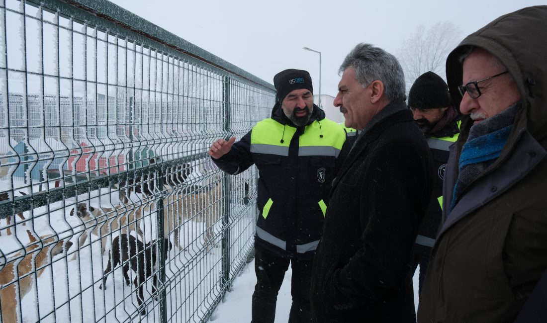 Yozgat Valisi Mehmet Ali Özkan, Yozgat Belediyesi tarafından hayata geçirilen