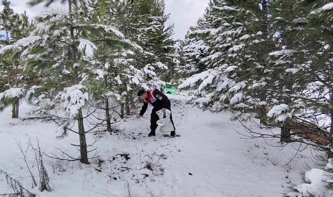 Yozgat İl Jandarma Komutanlığı Çevre, Doğa ve Hayvanları Koruma Timi