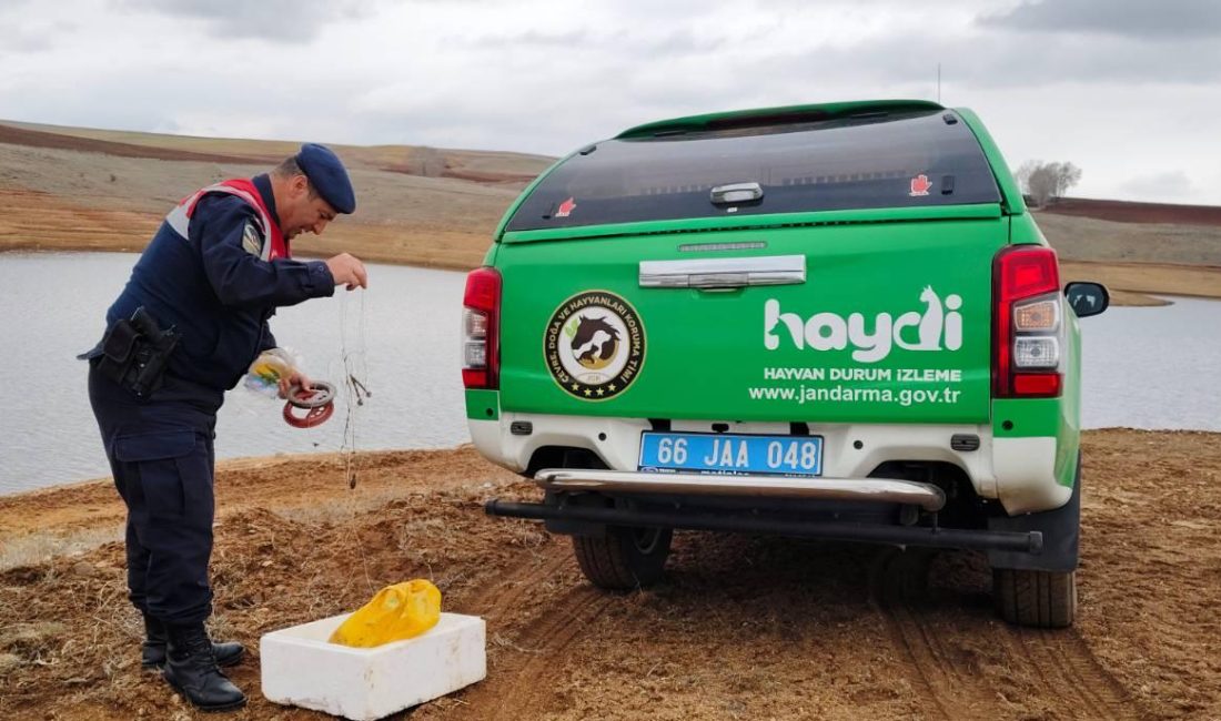 Yozgat İl Jandarma Komutanlığı Çevre Doğa ve Hayvanları Koruma (HAYDİ)