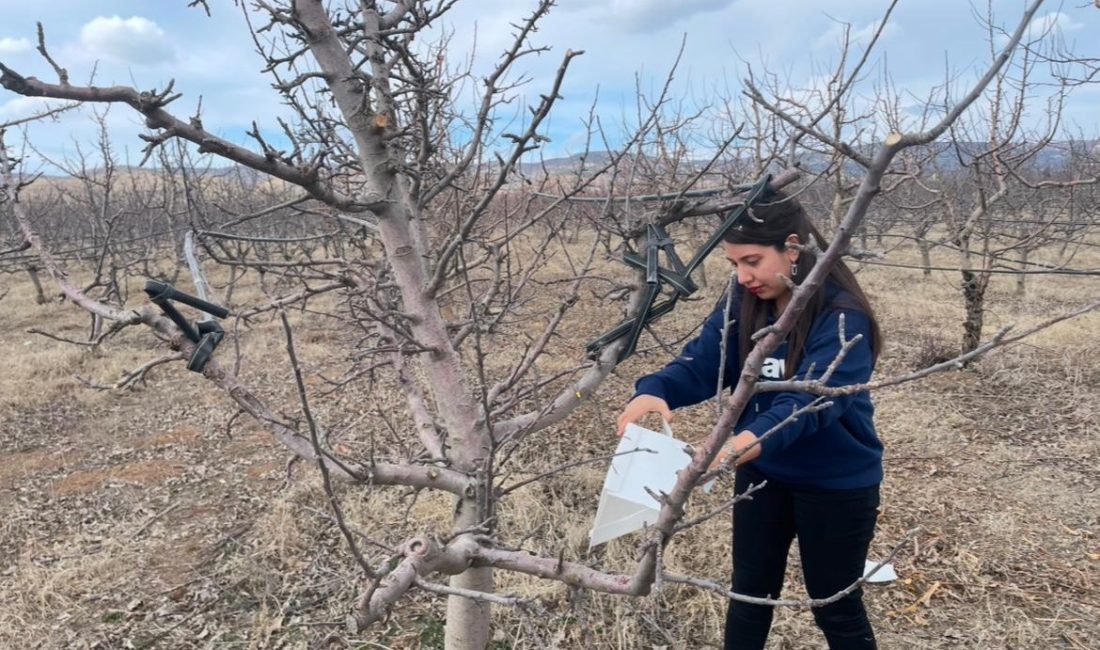 Yozgat İl Tarım ve Orman Müdürü Ömer Şentürk, Kadışehri ilçesi