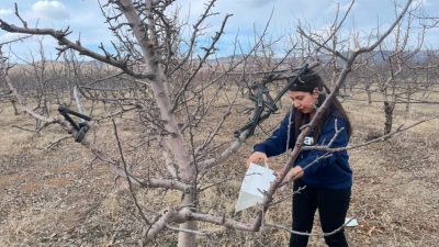 Yozgat İl Tarım ve Orman Müdürü Ömer Şentürk, Kadışehri ilçesi
