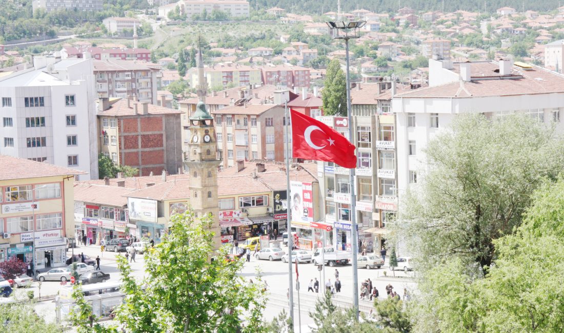 Türkiye İstatistik Kurumu (TÜİK), 2024 yılı IV. çeyrek dönemine ait