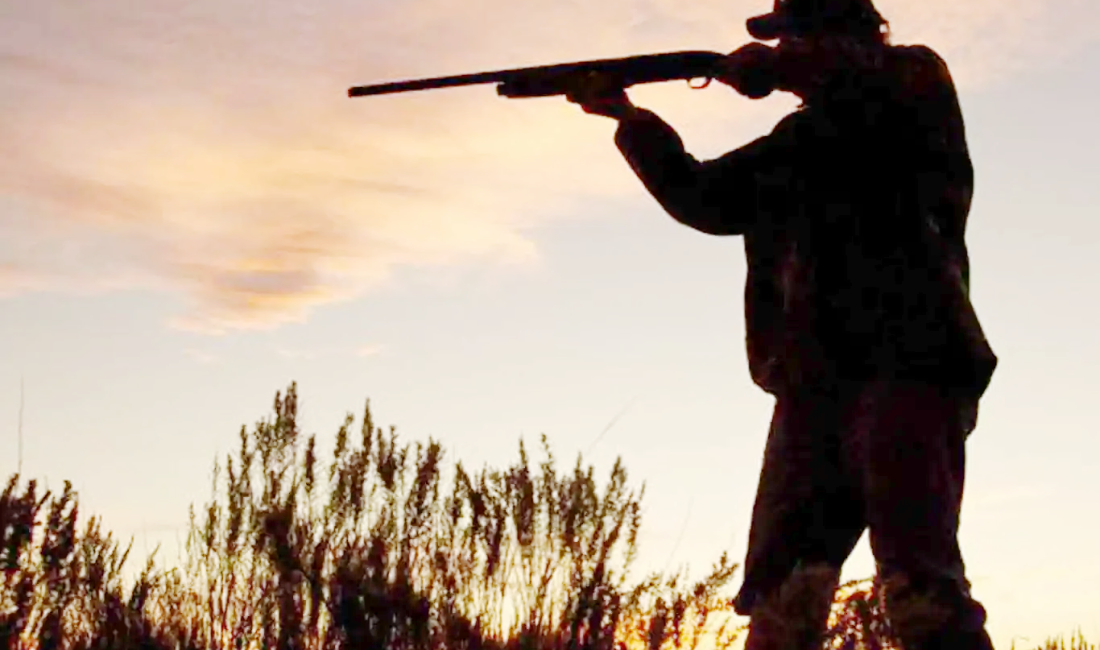 Tarım ve Orman Bakanlığı Doğa Koruma ve Milli Parklar Genel