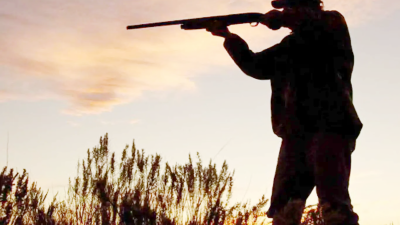 Tarım ve Orman Bakanlığı Doğa Koruma ve Milli Parklar Genel