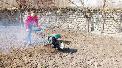 Yozgat’ta baharın gelişiyle birlikte bağ ve bahçelerde hareketlilik başladı. Hava