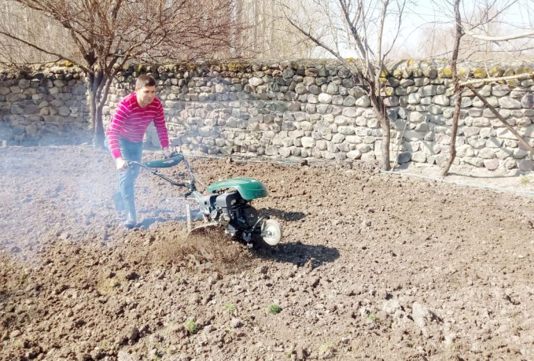 Yozgat’ta baharın gelişiyle birlikte bağ ve bahçelerde hareketlilik başladı. Hava