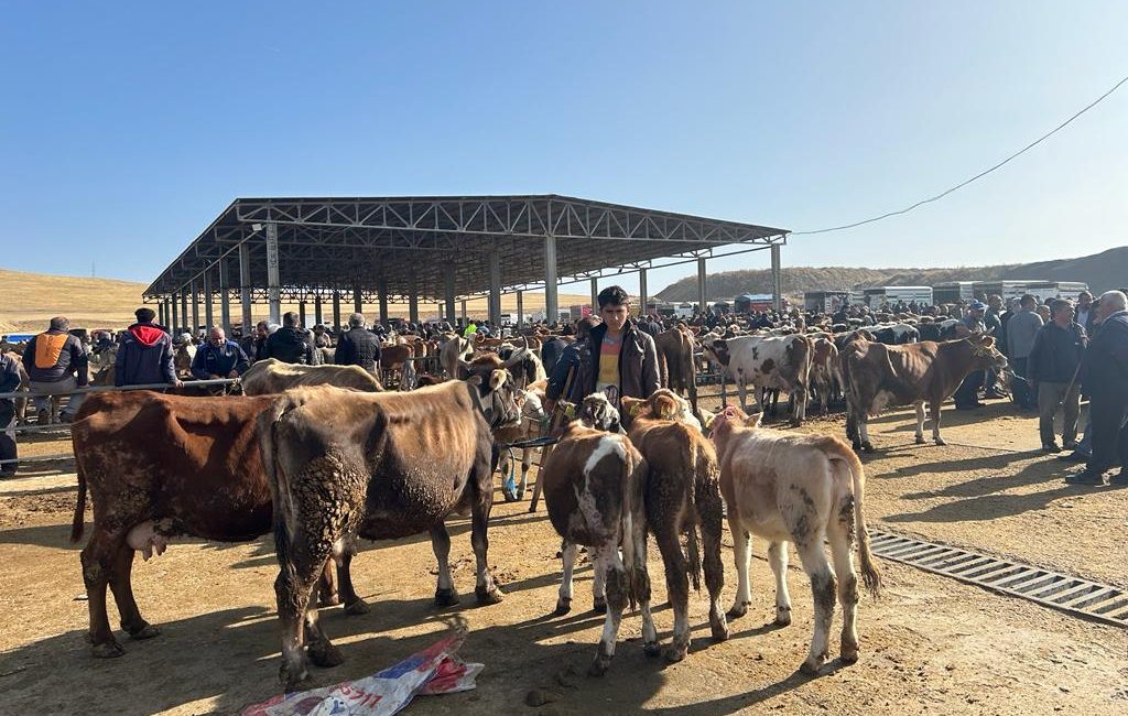 Yozgat il genelinde, çevre illerde görülen hastalıklar nedeniyle tedbir amaçlı