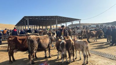 Yozgat il genelinde, çevre illerde görülen hastalıklar nedeniyle tedbir amaçlı