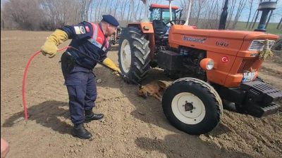 Yozgat İl Jandarma Komutanlığı Çevre, Doğa ve Hayvanları Koruma Timi