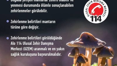 Yozgat Valiliği, baharın gelmesiyle birlikte doğada kendiliğinden yetişen mantarlarla ilgili