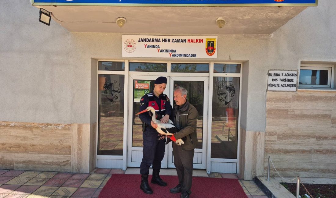 Yozgat’ın Sarıkaya ilçesinde jandarma ekipleri, devriye görevi sırasında yaralı halde