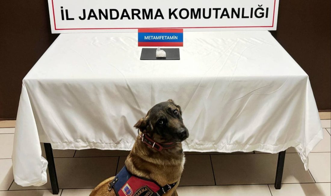 Yozgat İl Jandarma Komutanlığı ekiplerince Boğazlıyan ilçesinde düzenlenen uyuşturucu operasyonunda