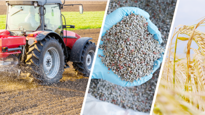 Tarım ve Orman Bakanı İbrahim Yumaklı, çiftçilere yönelik destekleme ödemelerinin