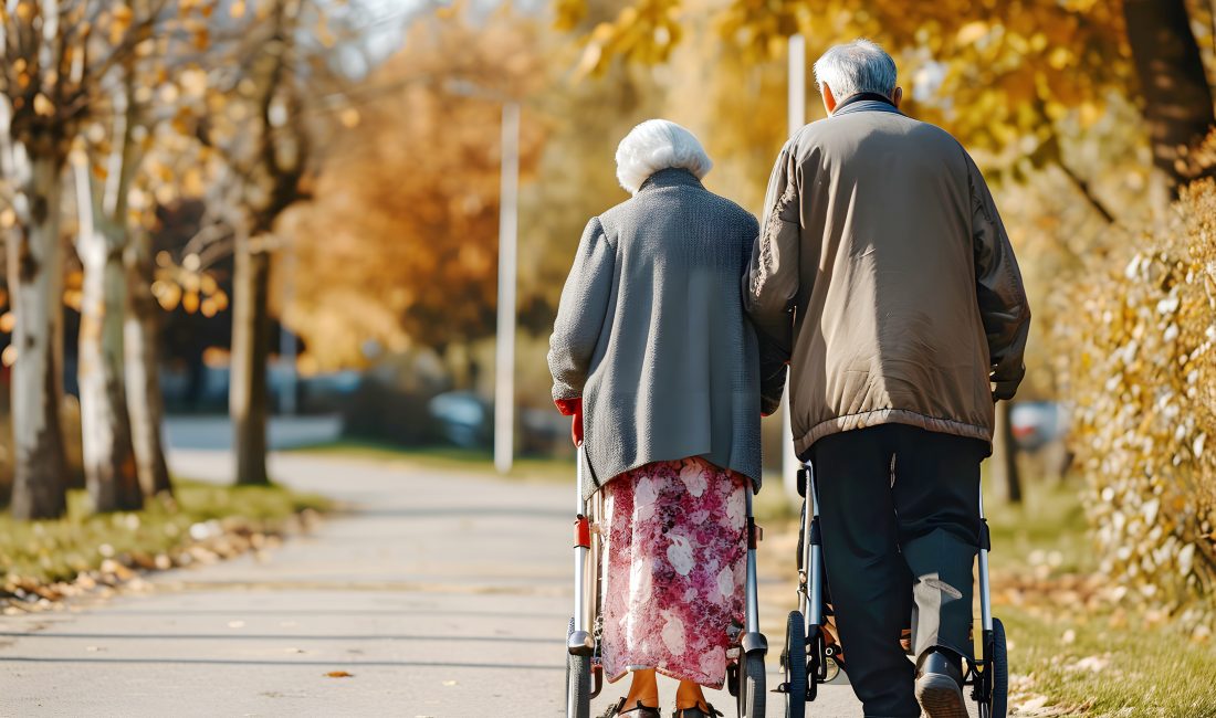 Türkiye İstatistik Kurumu (TÜİK), 2024 yılı Aktif Yaşlanma Endeksi (AYE)