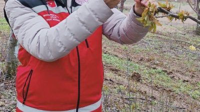 Yozgat’ta Mart ve Nisan aylarında etkili olan ani sıcaklık düşüşleri,