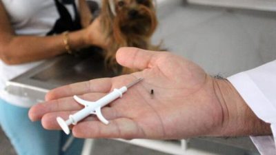 Yozgat Valiliği, köylerdeki her yaştan sahipli köpeklerin mikroçip takılarak kimliklendirilmesi