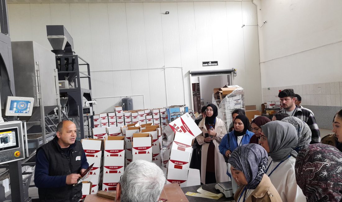 Yozgat Bozok Üniversitesi Genç Girişimciler Topluluğu (YOBÜ – GGT) tarafından