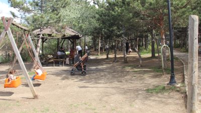 Geçtiğimiz günlerde etkili olan soğuk ve yağışlı havaların ardından güneşin